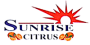 Sunrise logo